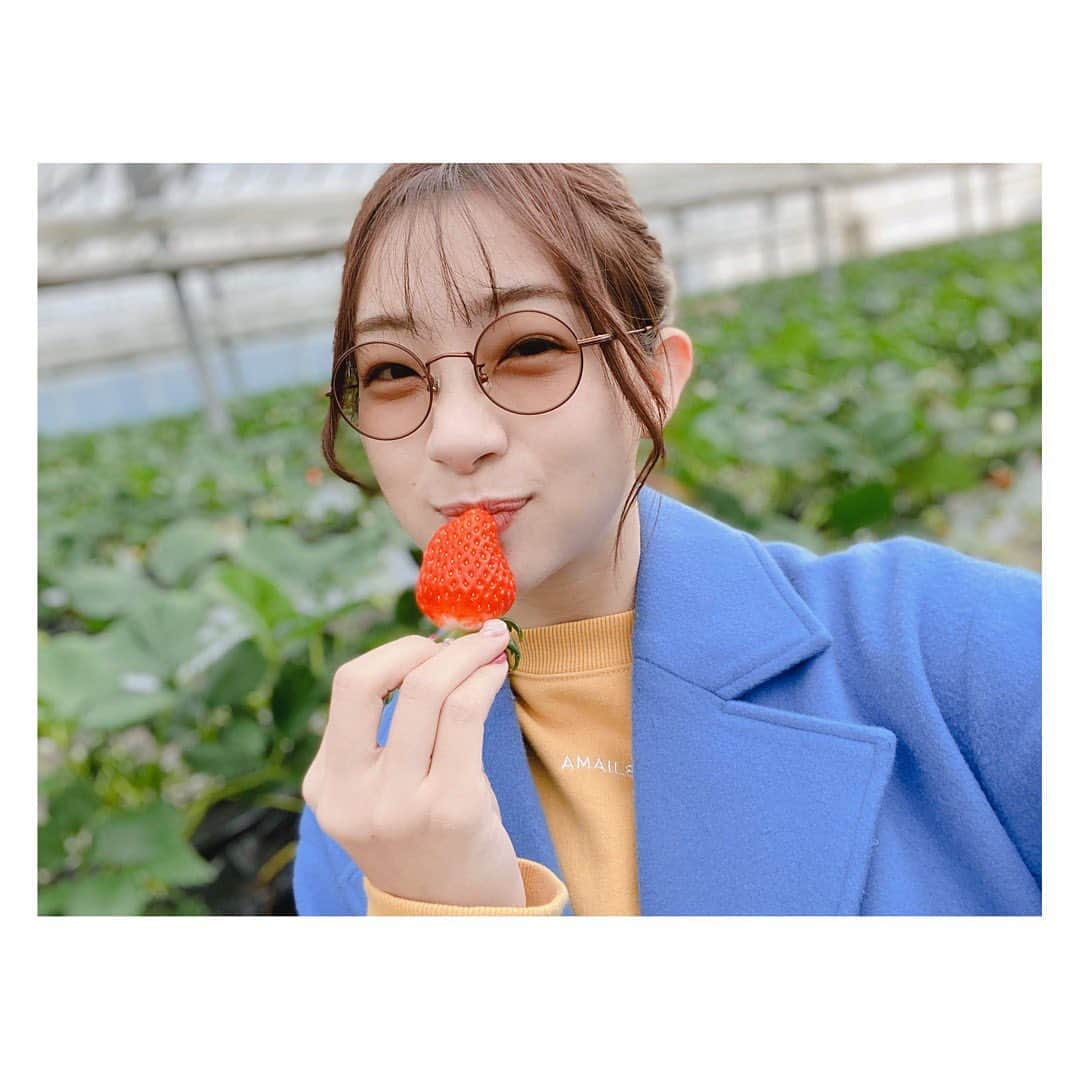 足立梨花さんのインスタグラム写真 - (足立梨花Instagram)「#いちごの日 #🍓 #いちご狩り #いちご ﻿ ﻿ たまたまいちご狩りしたら﻿ いちごの日でした笑﻿ ﻿ 朝9時からいちご狩り🙄笑」1月5日 10時40分 - adacchee