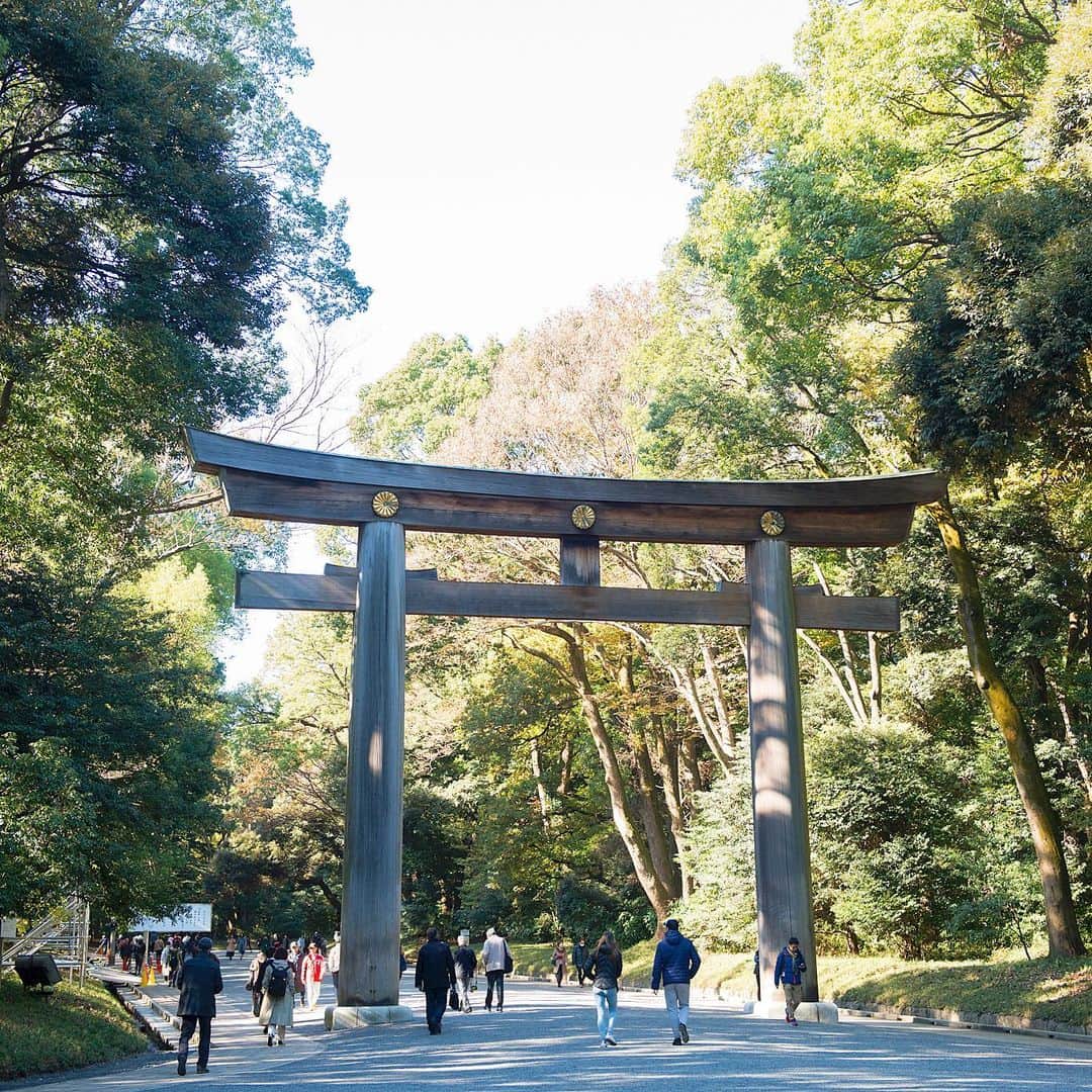 のインスタグラム：「2020年、初詣はどこに行く？﻿ ﻿ 〈明治神宮〉の南参道と北参道の出合い口に立つ大鳥居（第二鳥居）⛩台湾産の檜で作られた大鳥居は、木造として日本一の高さを誇ります🌿﻿ ﻿ 【Hanako_神社とお寺特集】﻿ #Hanako #Hanako_magazine #初詣 #お正月 #元旦 #神社 #寺 #お参り #椿大神社 #瀧尾神社 #湯泉神社 #縁結び#開運 #祈願 #パワースポット #お守り #おみくじ #明治神宮 #京都 #神社巡り#御朱印 #日帰り旅 #旅行 #女子旅 #タビジョ #temple #2020年 #子年 #明治神宮前 #photoby_SatokoImazu」