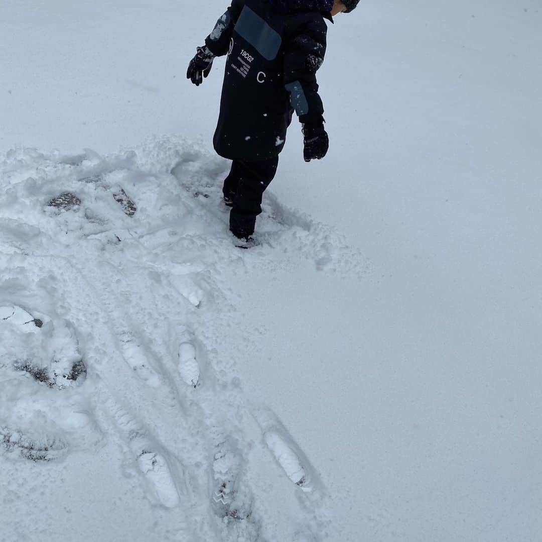 高橋志津奈さんのインスタグラム写真 - (高橋志津奈Instagram)「北海道生まれの私からすると路肩にある汚い雪も、チビには雪🙄 . 昨日降ったばかりの新雪を見て喜んでくれてよかった❄️ . 新雪を踏む時の音が好き。 . 今年はスキーはしたくないらしいので😩ただただ雪で遊んだだけw . 少しだけだったから今度は北海道に連れて行ってたくさんの雪を見せたいな❄️ . #冬休み#雪#軽井沢#北軽井沢#小旅行#今年は旅の計画をちゃんとしたいな🙄」1月5日 11時14分 - shizunan