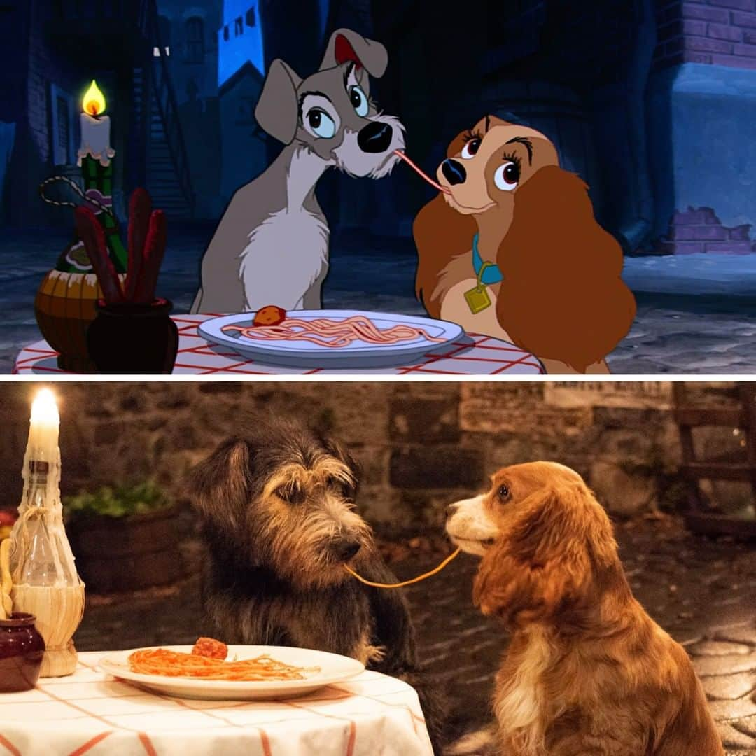 Walt Disney Studiosさんのインスタグラム写真 - (Walt Disney StudiosInstagram)「Celebrate #NationalSpaghettiDay on this lovely bella notte with @LadyAndTheTramp. Both movies are now streaming on #DisneyPlus.」1月5日 3時30分 - disneystudios