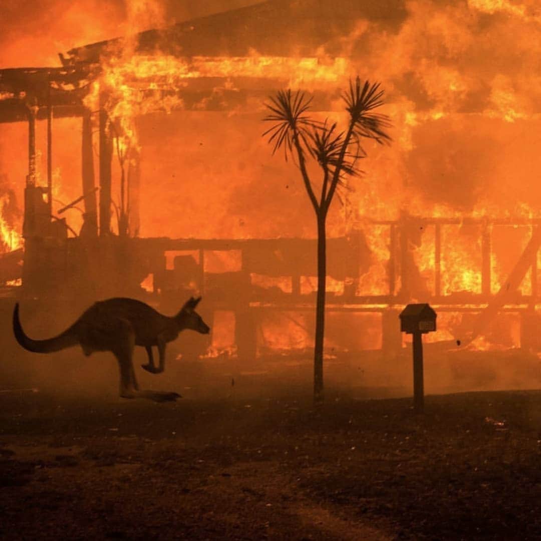 クラウディオ・マルキジオさんのインスタグラム写真 - (クラウディオ・マルキジオInstagram)「Un'infinità di chiacchiere inutili, mentre tutto va in fumo... #AustraliaBurning #ClimateEmergency 🌏🙏」1月5日 4時16分 - marchisiocla8