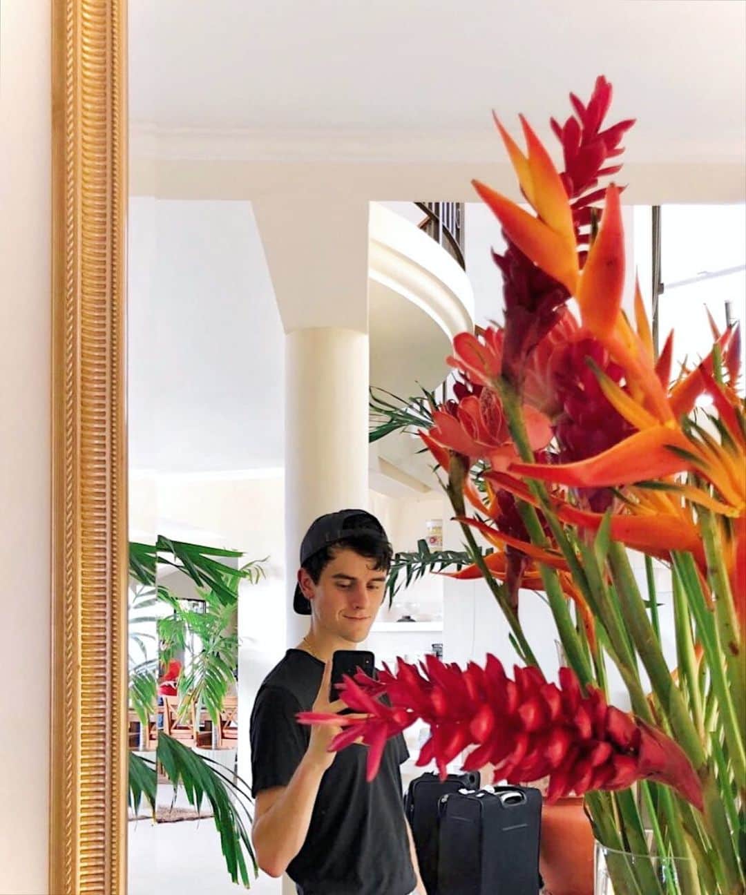 コナー・フランタのインスタグラム：「Swipe to see my 2019 / I was looking back at all my photos I took and posted heaps in a thread on twitter (if you want more than the 10 that are here). What a fulfilling year. Excited for the next 👐🏻💗」