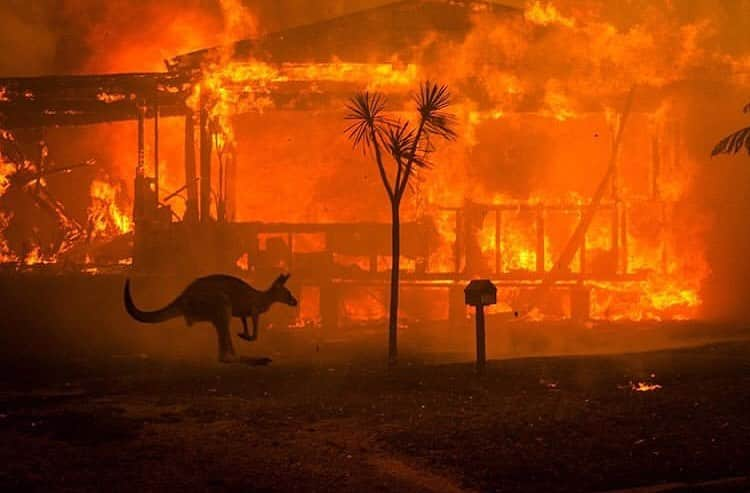 レオナルド・ディカプリオさんのインスタグラム写真 - (レオナルド・ディカプリオInstagram)「#Regram #RG @gretathunberg: Australia is on fire. And the summer there has only just begun. 2019 was a year of record heat and record drought. Today the temperature outside Sydney was 48,9°C. 500 million (!!) animals are estimated dead because of the bushfires. Over 20 people have died and thousands of homes have burned to ground. The fires have spewed 2/3 of the nations national annual CO2 emissions, according to the Sydney Morning Herald. The smoke has covered glaciers in distant New Zealand (!) making them warm and melt faster because of the albedo effect. And yet. All of this still has not resulted in any political action. Because we still fail to make the connection between the climate crisis and increased extreme weather events and nature disasters like the #AustraliaFires That has to change. And it has to change now. My thoughts are with the people of Australia and those affected by these devastating fires. (Photo: Matthew Abbott for The New York Times)」1月5日 6時06分 - leonardodicaprio