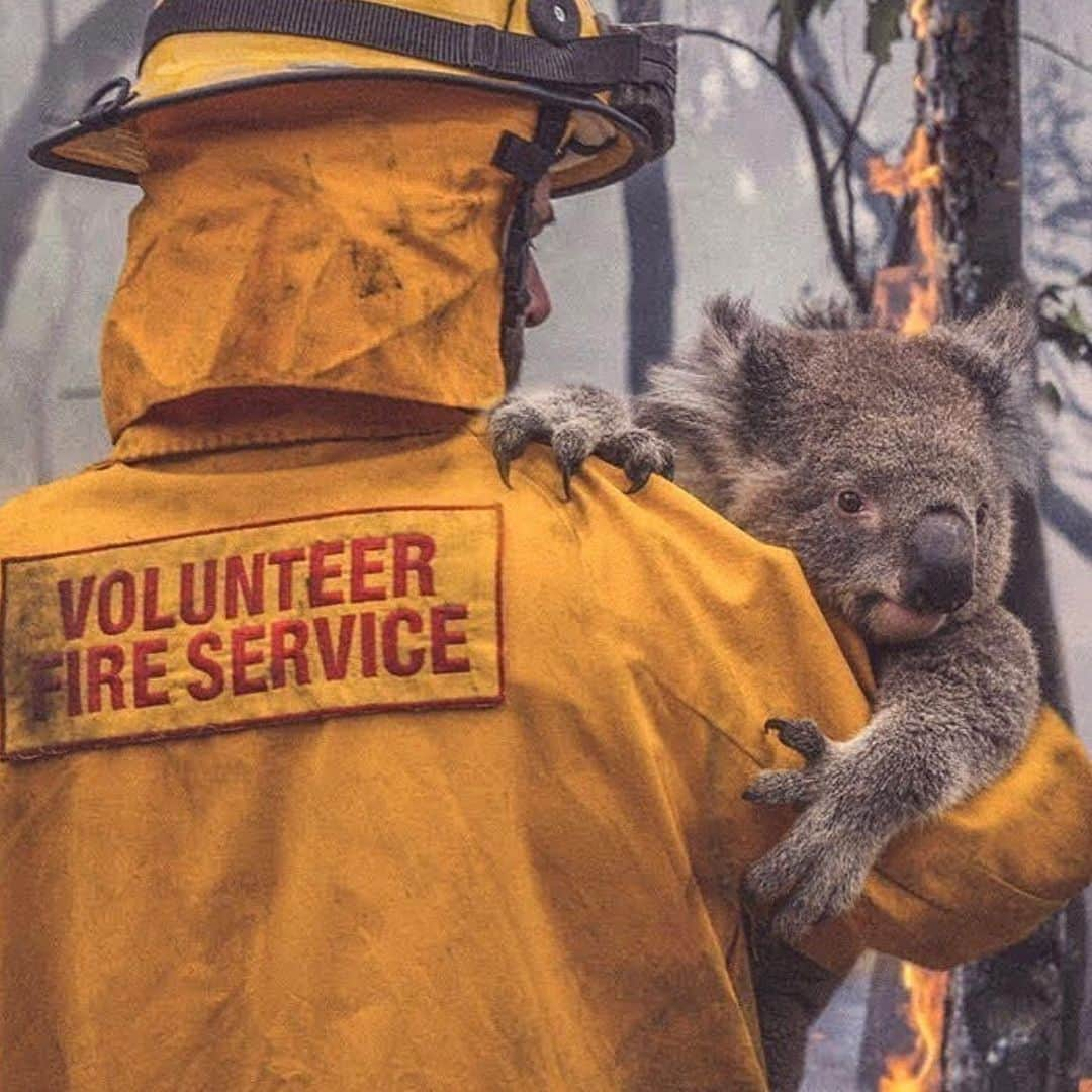 ジョン・テリーさんのインスタグラム写真 - (ジョン・テリーInstagram)「Heartbreaking to see what is happening in Australia 🇦🇺💔 🙏 STAY SAFE 💙 @foodbankaus @redcrossau @salvosau @wireswildliferescue  #australia」1月5日 6時08分 - johnterry.26