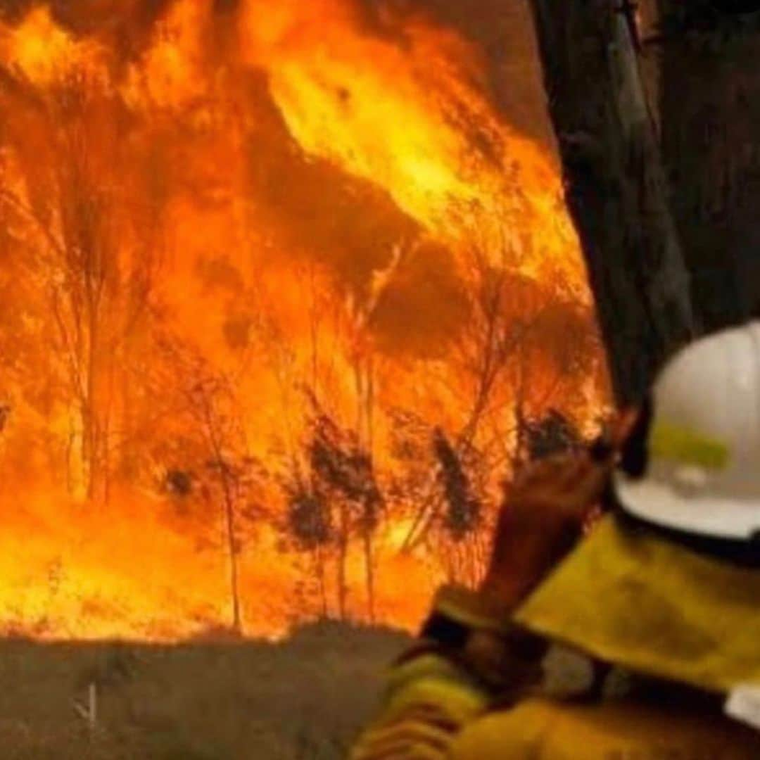 デニス・リチャーズさんのインスタグラム写真 - (デニス・リチャーズInstagram)「This is so heartbreaking.... I love Australia so much & to see this devastation.  #Repost @katherinekellylang ・・・ Reports say that half a billion Australian wildlife- mammals, birds and reptiles- since these fires began have died and many injured and Koalas are the hardest hit because of their slow moving nature. So if you can, while Australia continues to mourn the loss of human lives, we can’t forget about the animals. Any donation would help. You can go to Wires.org.au @wireswildliferescue or www.koalasinvare.org.au will help also the Red Cross.. or look on the next pages here.  Also, I posted a link in my bio, just click on that and see the ways you can help🙏🙏🙏 Thank you!」1月5日 7時11分 - deniserichards