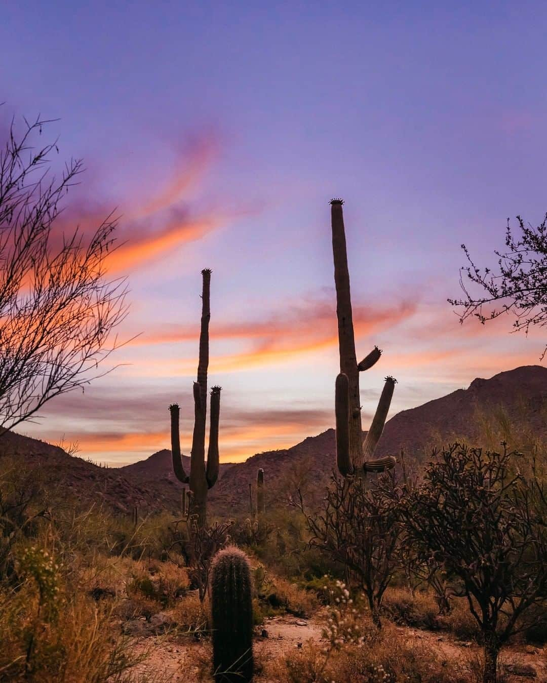 リッツ・カールトンさんのインスタグラム写真 - (リッツ・カールトンInstagram)「Embrace the serenity of a desert getaway at The Ritz-Carlton, #DoveMountain, as a sunrise paints the skies. ⁣⁠ ⁣⁠ #Marana #Arizona #Tucson #SonoranDesert #AZ #Desert #Sunrise #Peaceful #Serenity #Getaway #Relaxing #Cactus #Travel #Travelgram #InstaTravel #TravelDiaries」1月5日 8時00分 - ritzcarlton