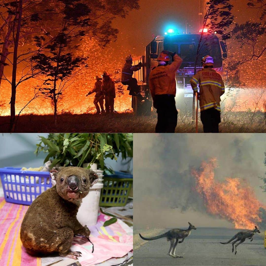 ルーク・エヴァンズさんのインスタグラム写真 - (ルーク・エヴァンズInstagram)「It’s so painful to watch a country that I love so much, being decimated by these horrific fires.  If you can help, please donate what you can, there are many ways to help, here is one https://www.rfs.nsw.gov.au/volunteer/support-your-local-brigade #bushfires #bushfiresaustralia @redcrossau @cfsfoundation @givit_aus」1月5日 8時12分 - thereallukeevans