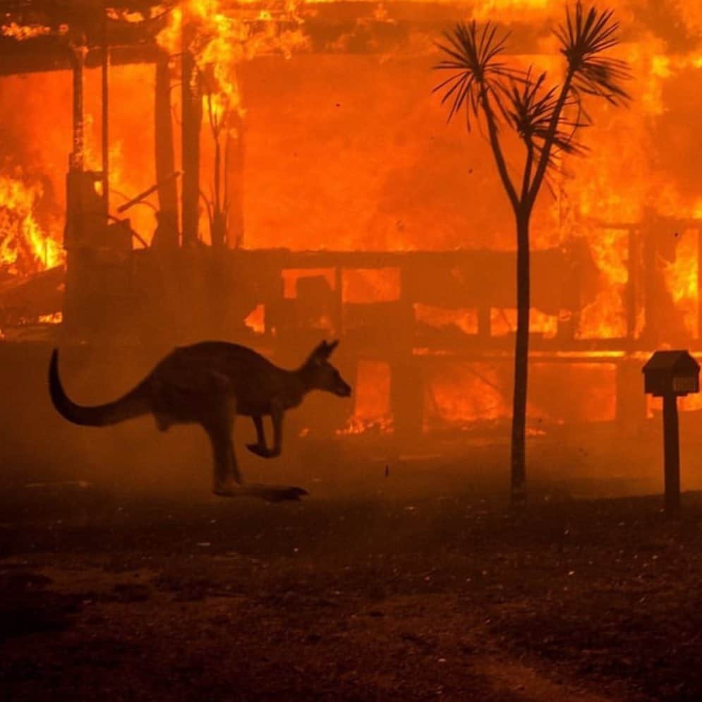 ソニア・ベン・アンマーのインスタグラム：「So devastated about the Australia fires & how there has been no political action taken to acknowledge the connection between the climate crisis and natural disasters. This year @gretathunberg ,  @karmagawa & @janefonda amongst others have opened my eyes on this crisis. My new year’s resolution this year is to make a conscious effort to decrease my carbon footprint & be more thoughtful about our planet. Climate change is real and it affecting all of us. Little efforts go a long way. I’m going to stop eating red meat, stop using plastic bottles, use less electricity, use reusable materials (reusable bags when grocery shopping for example), reduce my online shipped goods & take shorter showers. These may all seem like little efforts but I truly believe if you want to change something in the world, you must start by being that change, big or small. ❤️ #noplanetb」