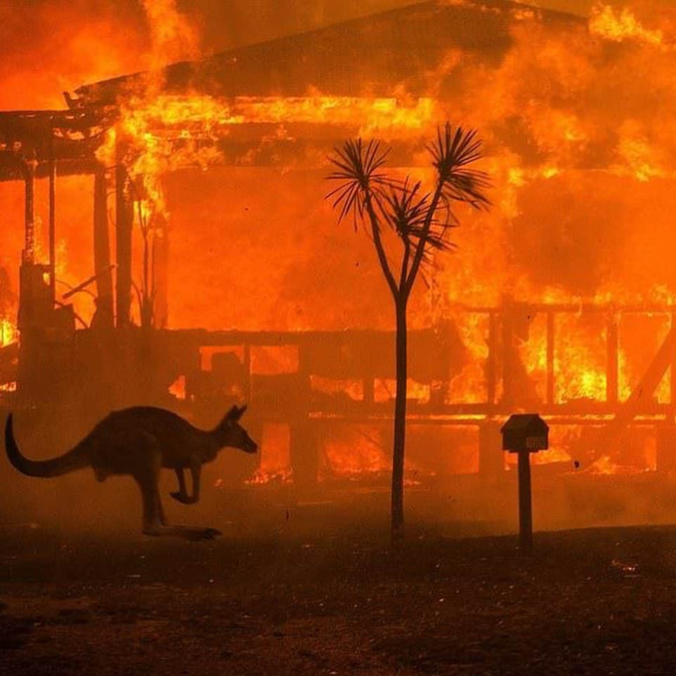 エリザベス・ハーレイさんのインスタグラム写真 - (エリザベス・ハーレイInstagram)「The appalling bushfires in Australia are horrific and the news gets worse and worse: 23 people and half a billion animals have now died and 13 million acres have been destroyed. This glorious country needs our help. Please visit www.redcross.au or  www.secure.animalsaustralia.org ❤️」1月5日 8時56分 - elizabethhurley1