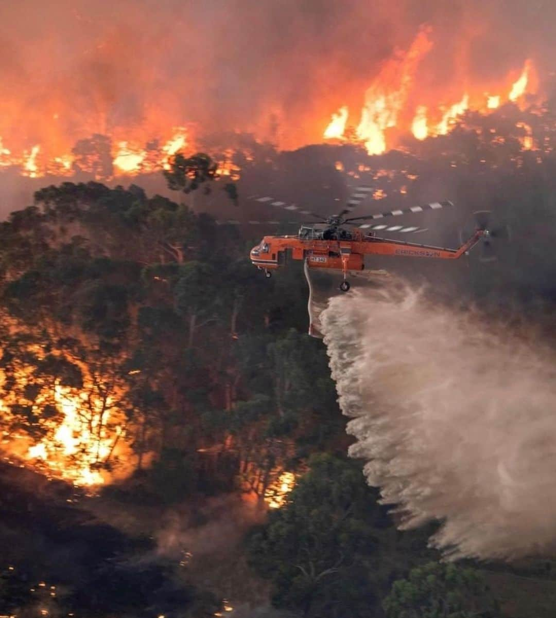 ジェシカ・スタインさんのインスタグラム写真 - (ジェシカ・スタインInstagram)「Australia is BURNING. We cannot look away while so many homes, lives and futures are reduced to ash. We must make the change we want to see for our world, and right now millions can’t see through the smoke.  Our country has been burning for months. 20 lives have been lost, with dozens of people missing. An estimated 500 million animals have perished. Over 12 million acres of land has burnt. These fires will continue to burn for weeks, months to come. Please help in any way that you can wether it be donations of money, resources, time, blood or awareness and advocacy.  Here are some organisations where you can donate: - NSW Rural Fire Service @nswrfs https://www.rfs.nsw.gov.au/volunteer/support-your-local-brigade - Victorian Country Fire Association (CFA) @cfavic https://www.cfa.vic.gov.au/about/supporting-cfa#donate-cfa - Rural Fire Brigade Association Queensland (RFBAQ) https://www.rfbaq.org/donate-to-rfbaq - South Australia Country Fire Service (CFS) https://cfsfoundation.org.au/donate - WIRES - NSW Wildlife Information, Rescue and Education Service https://www.wires.org.au/donate/now - Fire Relief Fund for First Nation Communities https://au.gofundme.com/f/fire-relief-fund-for-first-nations-communities - Direct donation to the families of 3 NSW fire fighters who lost their lives http://www.rfs.nsw.gov.au/news-and-media/general-news/featured/support-for-firefighter-families  Just one incredible human @celestebarber has made waves from ripples with her fundraiser for the RFS, the link is in my Bio where anyone can easily internationally donate.  If anyone displaced needs somewhere to stay, I have a spare room available on the Central Coast.  I’m sorry I haven’t been sharing for months as I have been struggling with my health, and found that being online wasn’t the best place for me. But in times of need, social media can unite and empower us all. The ability to empathise with and support those facing catastrophe on the other side of the world should not be taken for granted. We all breathe the same air and wether it be today or tomorrow; climate change will effect us all.  My apologies for not being able to locate image credits, please email me.」1月5日 8時58分 - tuulavintage