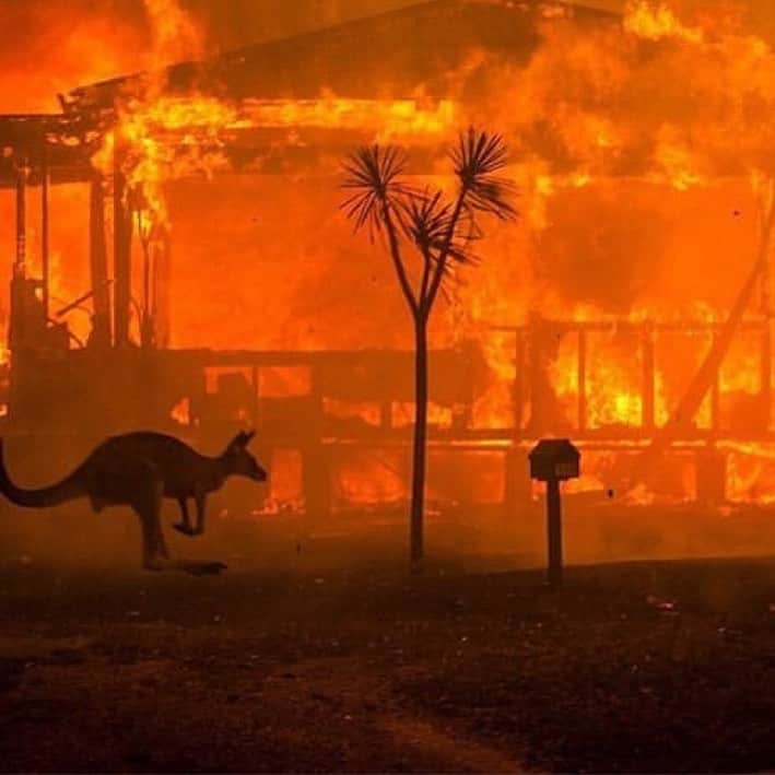 ケイティ・キャシディさんのインスタグラム写真 - (ケイティ・キャシディInstagram)「This is horrible. Please #helpaustralia #repost @leonardodicaprio #regram  @gretathunberg: Australia is on fire. And the summer there has only just begun. 2019 was a year of record heat and record drought. Today the temperature outside Sydney was 48,9°C. 500 million (!!) animals are estimated dead because of the bushfires. Over 20 people have died and thousands of homes have burned to ground. The fires have spewed 2/3 of the nations national annual CO2 emissions, according to the Sydney Morning Herald. The smoke has covered glaciers in distant New Zealand (!) making them warm and melt faster because of the albedo effect. And yet. All of this still has not resulted in any political action. Because we still fail to make the connection between the climate crisis and increased extreme weather events and nature disasters like the #AustraliaFires That has to change. And it has to change now. My thoughts are with the people of Australia and those affected by these devastating fires.」1月5日 9時11分 - katiecassidy