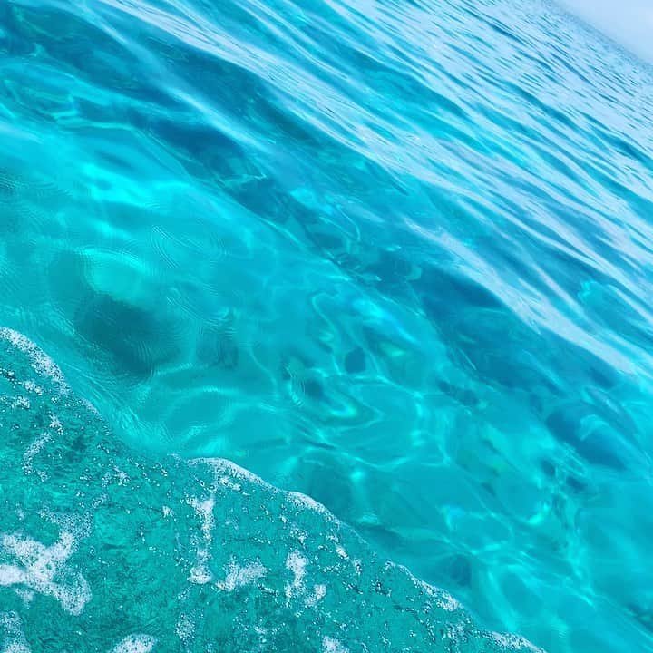 森田遥のインスタグラム：「🐬🐬 初🏄‍♂️🏄‍♀️」
