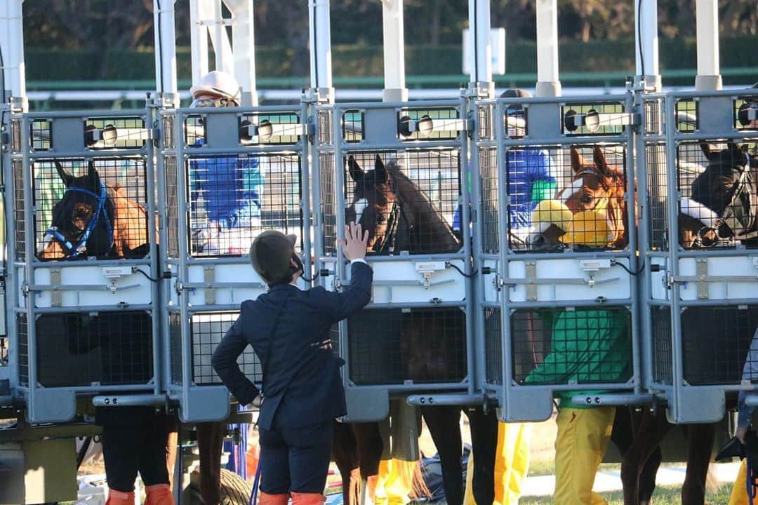 ゆきのしんさんのインスタグラム写真 - (ゆきのしんInstagram)「素敵な瞬間☺️🐴❤️ #中山競馬場 #中山金杯 #クレッシェンドラヴ #馬好き #カメラ女子 #馬は見る専」1月5日 20時11分 - yukino__shin