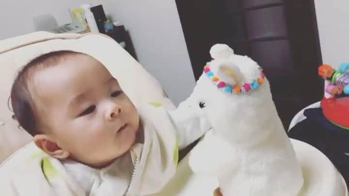 Babyful Storeのインスタグラム