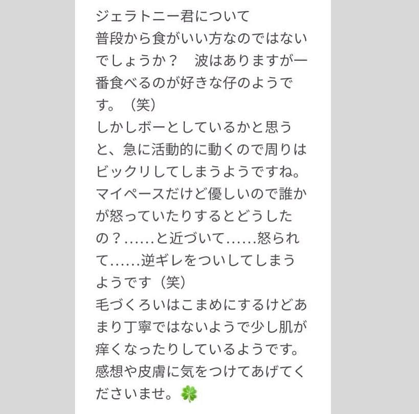 ラド&ティンクさんのインスタグラム写真 - (ラド&ティンクInstagram)「* Who are you? * model ： Ocean * * このハリネズミさんは我が家の中では古株さんです。 まだ、おーしゃんの方が小さいね。 * * 年末にインターネット占い館「MIROR」 @miror_jp で占いしていただきました。 今回は気になるハリちゃんの事を占ってもらいました。 伝えたのは、写真と生年月日と名前だけ。 占いの結果は2〜6枚目。 * まず結果を見てびっくりしたのが、アレルギー性皮膚炎の持病を持つフィガロの事を言い当てたところ。 * ティンクはもう4歳5ヶ月、なるべく早めに精密検査を受けるつもりでいたので。 食欲もあるし、とても元気だから、何か病気を見つけたとしても、穏やかに過ごせるようにしてあげたいな。 * コニーはこの結果を聞いて、ケージを部屋の中にハムスターケージ2つ分に広くしてあげました。 とてもご機嫌みたいです。 * ジェラが少しフケが出ていたので、加湿器を側に置いてあげたら、ピタッと落ち着きました。 乾燥してたんだね。 * おーしゃんがフードを一気ぐいしないのも当たってます。 水分気にしてあげよう。 * * #インターネット占い館miror #MIROR #PR #おーしゃん #はりねずみ #ハリネズミ #針鼠 #ヨツユビハリネズミ #ヘッジホッグ  #ペット #ふわもこ部 #モフモフ #hedgehog #pygmyhedgehog #lovelypet #cuteanimals #hedgehogfamily #hedgie #Hérisson #igel#riccio #Erizo #고슴도치 #刺猬」1月5日 20時42分 - rado_pompon