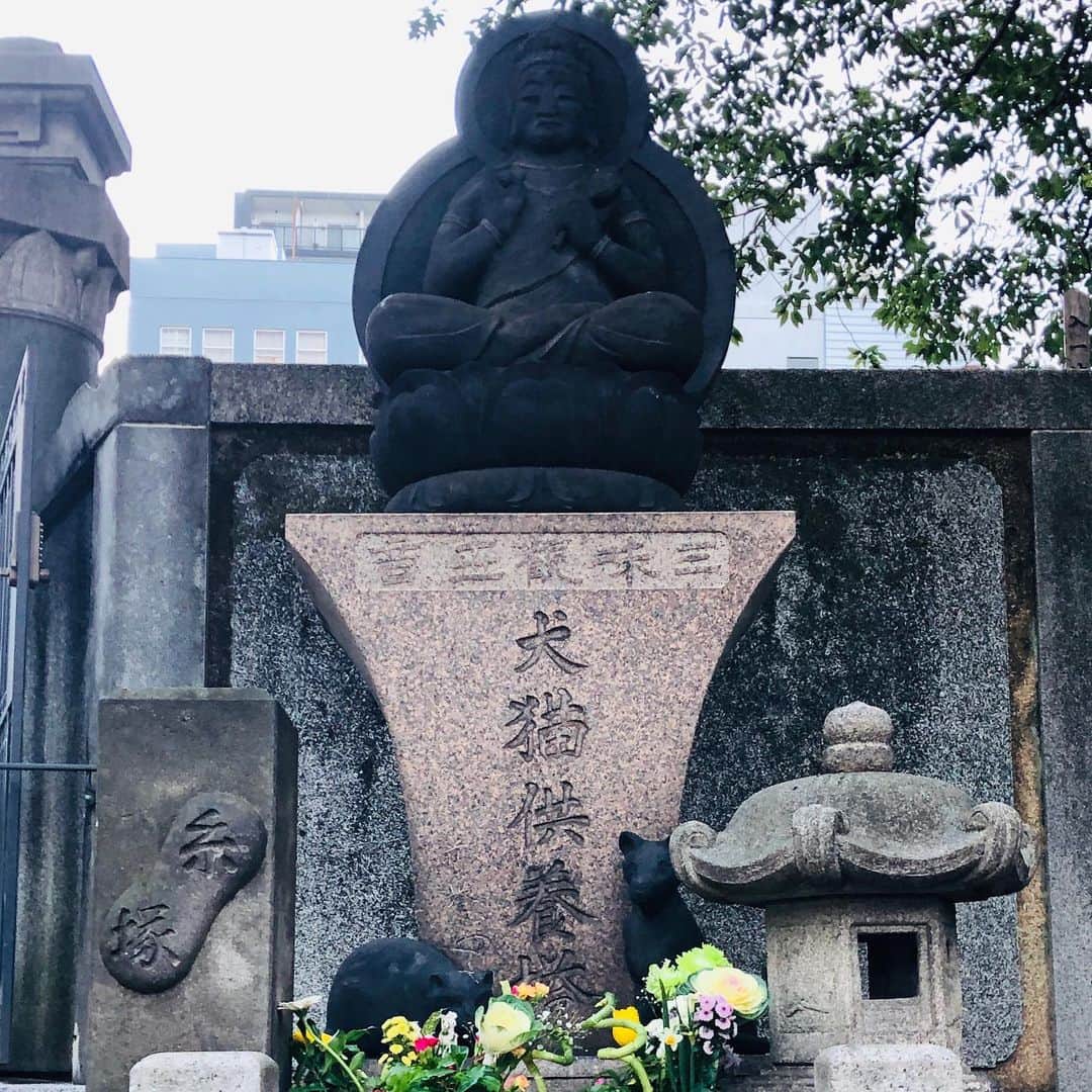 池田有希子のインスタグラム：「両国回向院に初参り。とにかくここは宗教人動物問わず魂のウェルカム度MAX。勧進相撲発祥の地なので大きな力塚があったり、黄表紙の名作家、浮世絵モデルの絶世の美女、鼠小僧次郎吉（干支！）の墓もあって、江戸の庶民史好きにはたまらない場所。軍馬軍用犬（将軍家綱が愛馬を供養したことから）、猫（国芳が飼い猫を供養したことから）、オットセイ（境内にあった見世物小屋の人気者だった）の墓や石碑などがギュッと並んでて、全てに手を合わせてしまいます。今回発見した亀に乗ったお墓。調べてみたら、井田亀学という備中松前藩士で易学書を沢山書いた人のお墓らしい。 私のお目当て、義太夫協会が建てた犬猫供養塔。今年も感謝を込めて三味線を弾きます！」