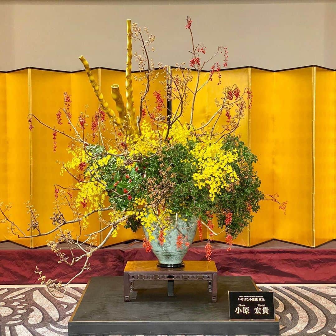 小原宏貴さんのインスタグラム写真 小原宏貴instagram 年 初いけ My First Ikebana Work In 小原流 いけばな小原流 Ohararyu Oharaschoolofikebana いけばな Ikebana 華道 小原宏貴 Hirokiohara 花のある暮らし 花好きの人と繋がりたい 花