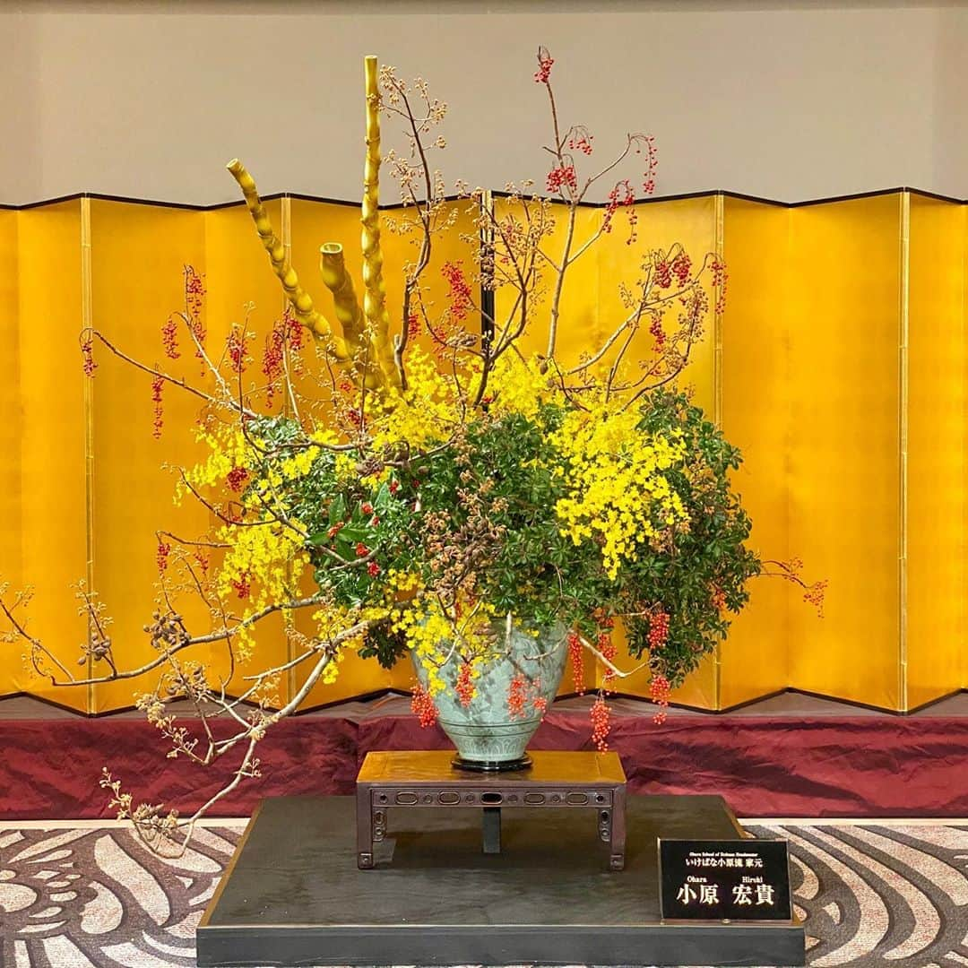 小原宏貴さんのインスタグラム写真 - (小原宏貴Instagram)「2020年　初いけ。 My first Ikebana work in 2020.  #小原流 #いけばな小原流 #ohararyu  #oharaschoolofikebana #いけばな #ikebana #華道 #小原宏貴 #hirokiohara #花のある暮らし #花好きの人と繋がりたい #花 #華道家 #flower #フローリスト #florist #初いけ」1月5日 13時30分 - ohararyu_ohara.hiroki