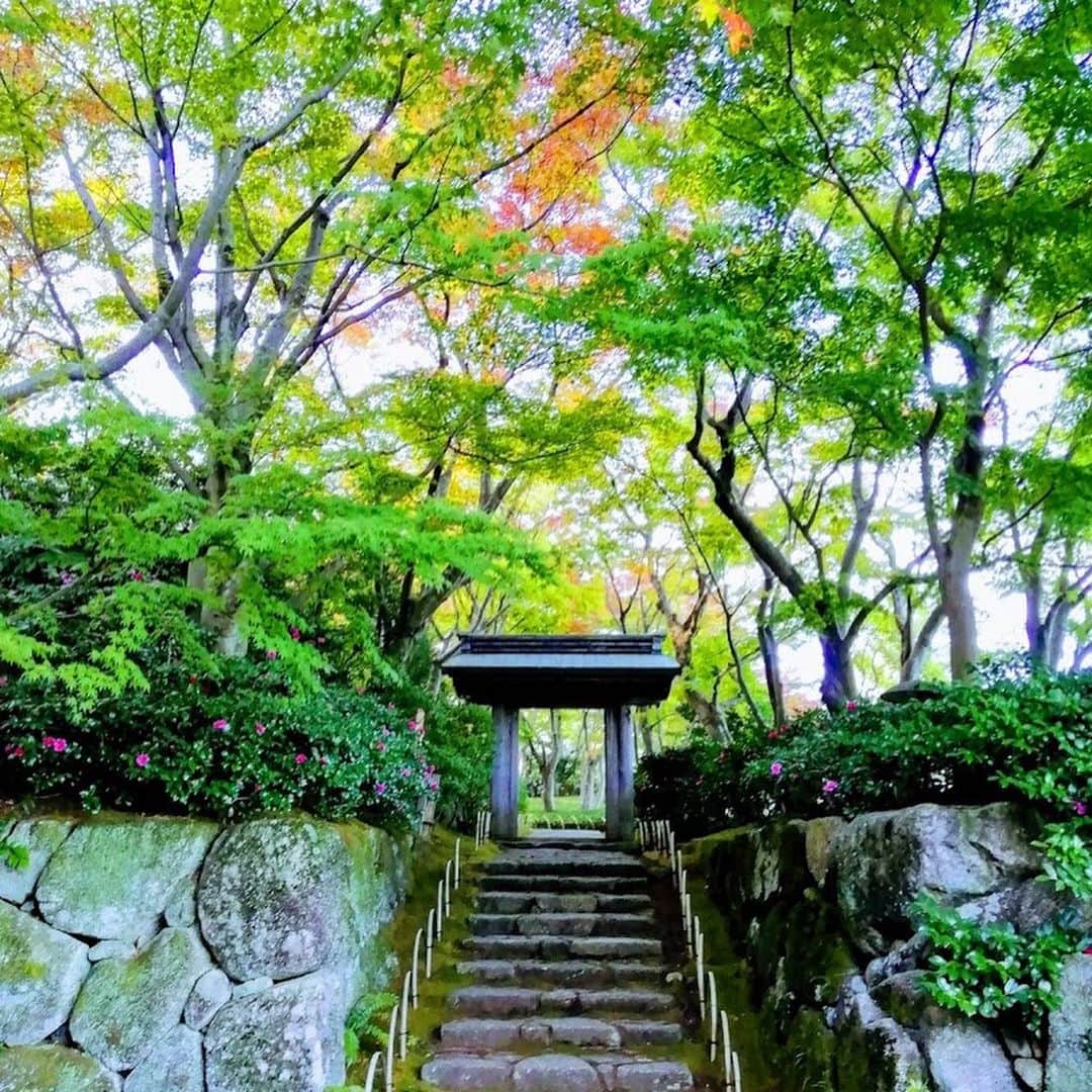 伊東秀和さんのインスタグラム写真 - (伊東秀和Instagram)「日本の美しさ🌈  四季で色や空気感が移り変わるのも旅をすると、より感じられる。  温泉♨️もどこにでもあるし、食文化も素晴らしい✨  海外ツアーには行きたいけど、1〜2週間くらいでいつも日本が少しずつ恋しくなる😊 海外に行けば行くほど、自分の中で日本の美しさも深まっていくんだよね。  日本で行った事のない場所にも、これからは足を運びたい💫 #japan  #日本  #美しい  #歴史  #故郷  #四季  #好き」1月5日 14時28分 - hide9a2019