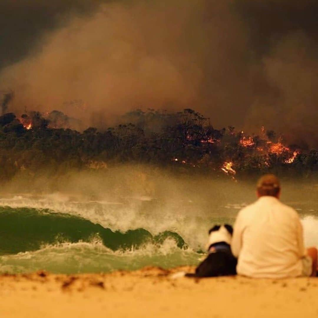 ジェシカ･ゴメスさんのインスタグラム写真 - (ジェシカ･ゴメスInstagram)「#Repost @lucy_folk ・・・ Our people, the animals and the environment is crying for help  This is a living nightmare 💔  I am trying to figure out a way that I personally and as a brand can support those affected by these catastrophic bushfires that have burnt almost 6 million hectares of our country.  We need to work with the people in our creative community to do something HUGE to raise as much awareness and money that we can. Please stay tuned and keep posting.  The following organisations need your help and support. Every dollar helps 🙏🏼 @nswrfs For the New South Wales Fires  @cfavic For the Victorian fires  @redcrossau For relief and recovery  @wireswildliferescue  @wildlifevictoria  To help the countless animals  @foodbankaus @foodbankvic @foodbanknswact For those in need of emergency food  @salvosau For medium and long term disaster relief  A special shout out to @celestebarber for her incredible fundraising efforts ⭐️ with over 15 million dollars raised. Please head to her instagram to contribute  Our thoughts remain with all of those affected. Please Stay safe.  Let’s make a difference.  We owe it to Australia, our people and our planet 🌏 #saveaustralia」1月5日 14時23分 - iamjessicagomes