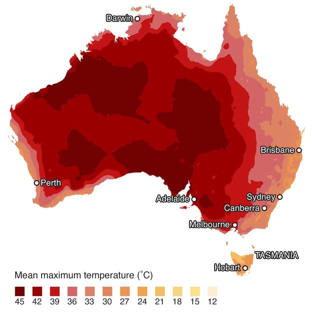 ローラさんのインスタグラム写真 - (ローラInstagram)「今オーストラリアでは干ばつなどによる異常気象で大規模な山火事が起こっています。シドニーでは今日気温が48.9度を記録しました。数ヶ月前におきたアマゾンの900,000㌶を超えて今オーストラリアでは5,000,000㌶以上が燃え続けています。この影響で野生動物の約5億匹が息を引き取り、NSWとクィーンランド州ではコアラの生息地の80%が焼失しました。この週末は各地で40度以上の熱波がさらに続くと言われています。 みんなで支えて助けあいましょう🙏;_; わたしのBioにも寄付先リンクを付けました。 @Wireswildliferescue @RedCrossAu @nswrfs  @portmacquariekoalahospital」1月5日 14時52分 - rolaofficial