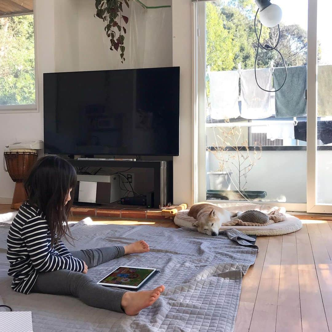 柴犬リリコさんのインスタグラム写真 - (柴犬リリコInstagram)「正月疲れ🎍🐶💦」1月5日 15時47分 - ke_rock_