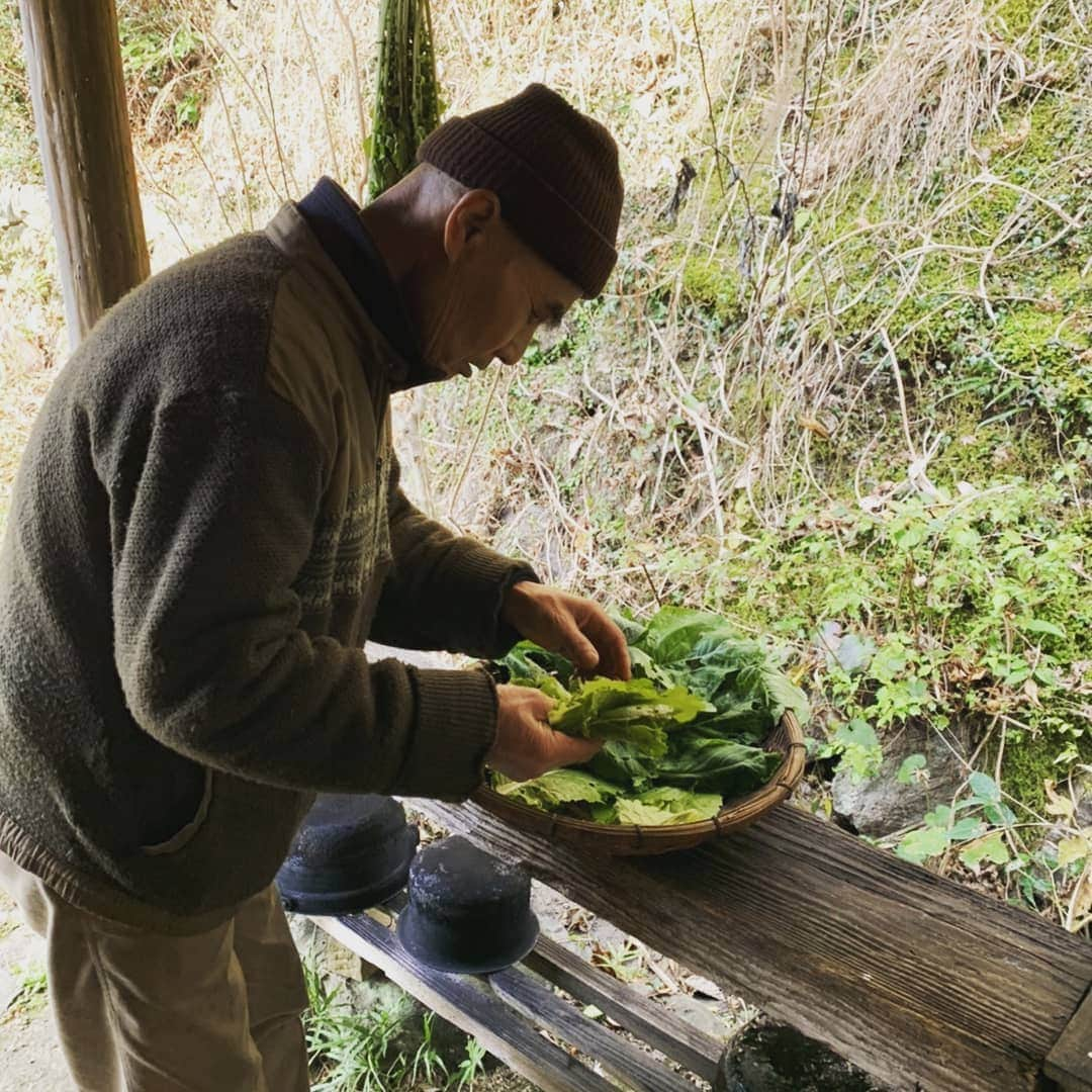 高見こころさんのインスタグラム写真 - (高見こころInstagram)「便利な生活が 当たり前な私たちの生活  どんどん進化していく現代で 敢えて不便な生活を選ぶ人がいる 『大変そう、不便だろうな…』 そう思うのは何も知らない私たちで  やってみると案外大変ではなかったりする。  薪を切る作業や火を起こす事、野菜を育てること…  そこに楽しさを見出だせるかで変わってくる。  時間に追われるのではなく 限りある時間をどう楽しんでいくのか。  楽しい事ばかりじゃつまらない。  苦しいことが殆どの世の中だからこそ どういかに楽しめるか 『生き方はその人の人生ダヨネ』  山奥で仙人のように生きる中村さんの人生は、とてもカッコ良く、心を豊かにしてくれる。  自然と共に共存する、ということを身をもって教えてくださいました✨  #上勝町 #仙人 #中村修 さん #自給自足生活 #便利すぎる世の中 #にほんむかしばなし #大自然 #自然と共に暮らす #共存 #カッコイイ #人生 #田舎暮らし体験 #ゼロウェイスト」1月5日 16時09分 - cocoro_takami