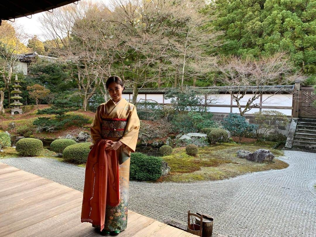 鷲尾伶菜さんのインスタグラム写真 - (鷲尾伶菜Instagram)「泉涌寺」1月5日 16時15分 - reina.washio.official