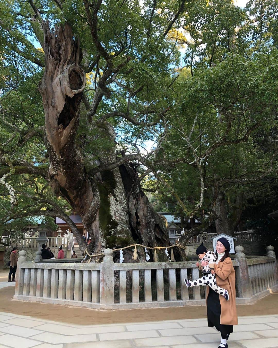 美甘子さんのインスタグラム写真 - (美甘子Instagram)「#大山祇神社 #大三島」1月5日 16時48分 - rekish_mikako