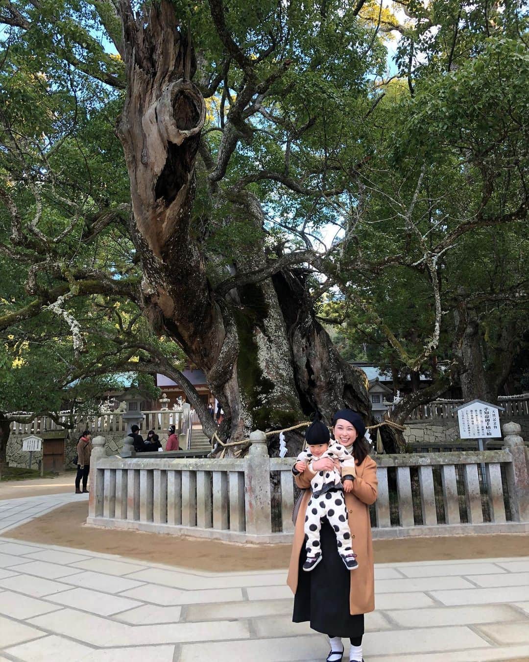 美甘子さんのインスタグラム写真 - (美甘子Instagram)「#大山祇神社 #大三島」1月5日 16時48分 - rekish_mikako