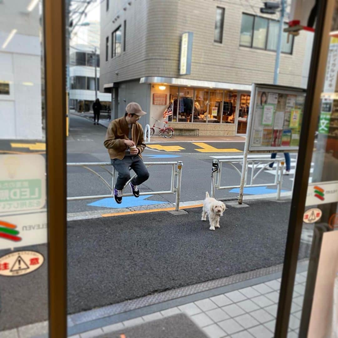 土岐麻子さんのインスタグラム写真 - (土岐麻子Instagram)「夫&知らない犬」1月5日 16時52分 - tokiasako