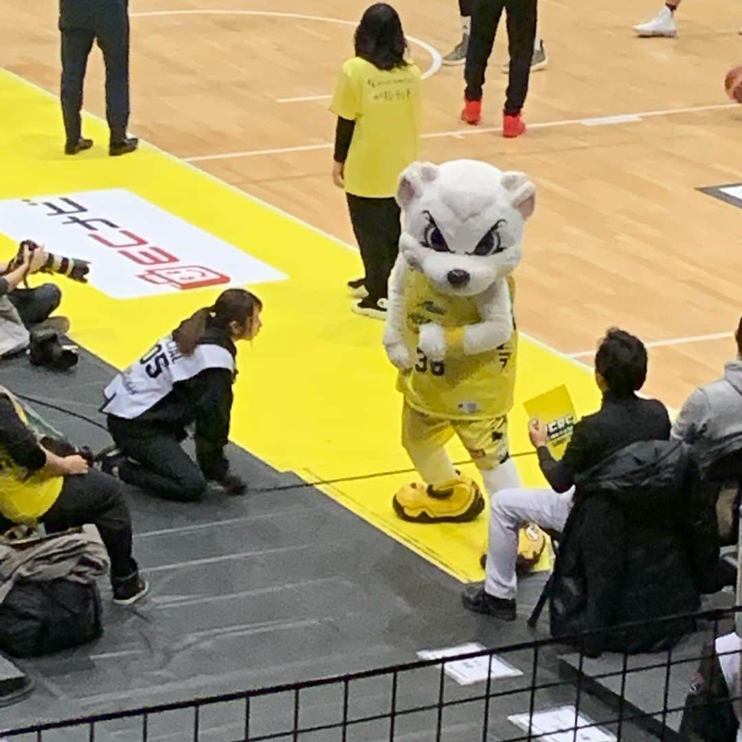 美城れんさんのインスタグラム写真 - (美城れんInstagram)「人生初観戦！ バスケの試合🏀　楽しかった‼️ #36sundy」1月5日 17時15分 - ren.mishiro