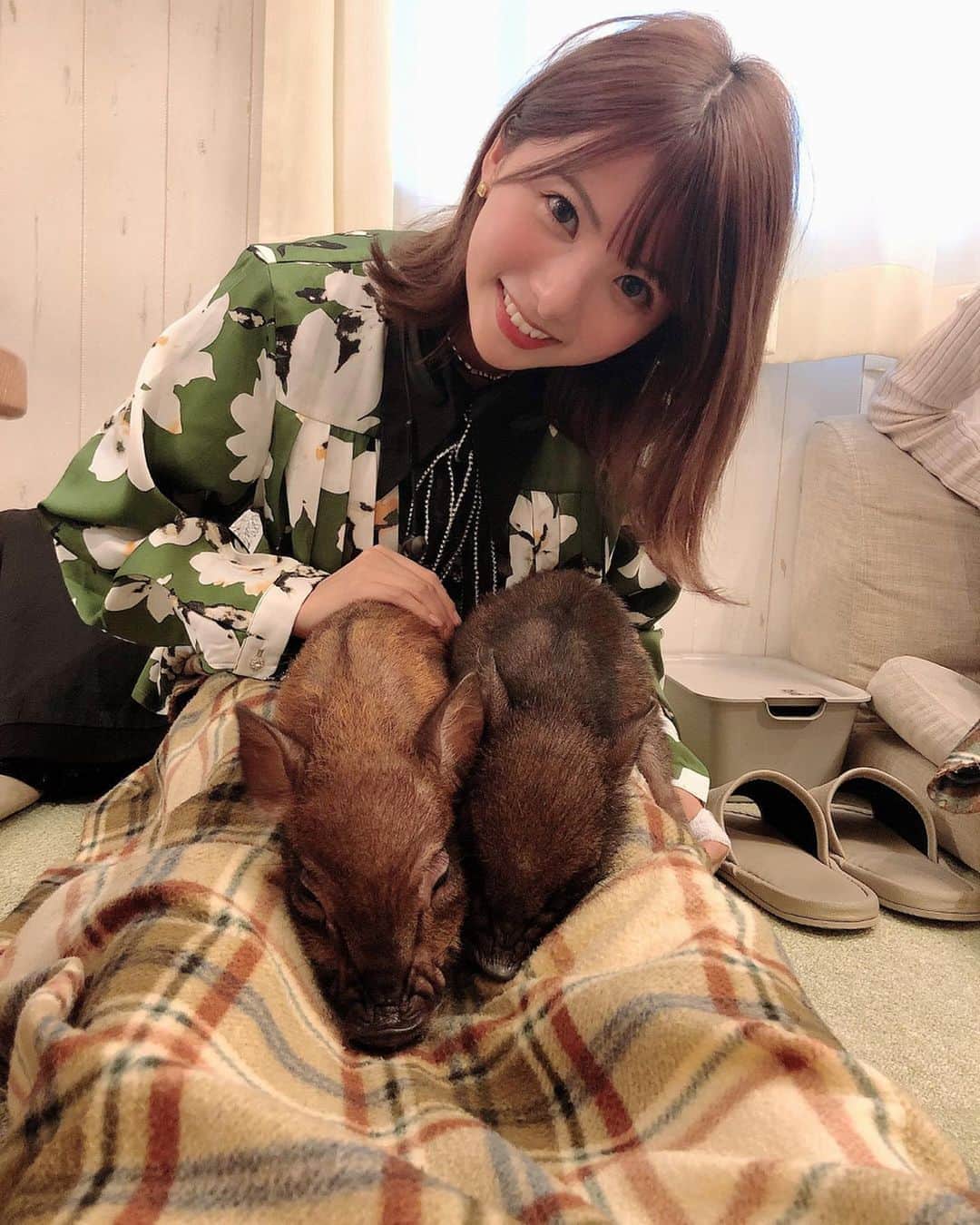 岡田栞奈のインスタグラム：「ずっとずっと行きたかった マイクロブタさん🐖💕 のカフェに行ってきたよ☕️ (@mipigcafe)  空間から平和すぎて 一瞬で和んだ🤤🌱 座ったらすぐ3段重ねになってきて 可愛すぎたよぶたさん😖💕💕 またすぐ行こう〜♪ #マイクロブタ　#ブタカフェ #目黒　#カフェ　#和み空間」