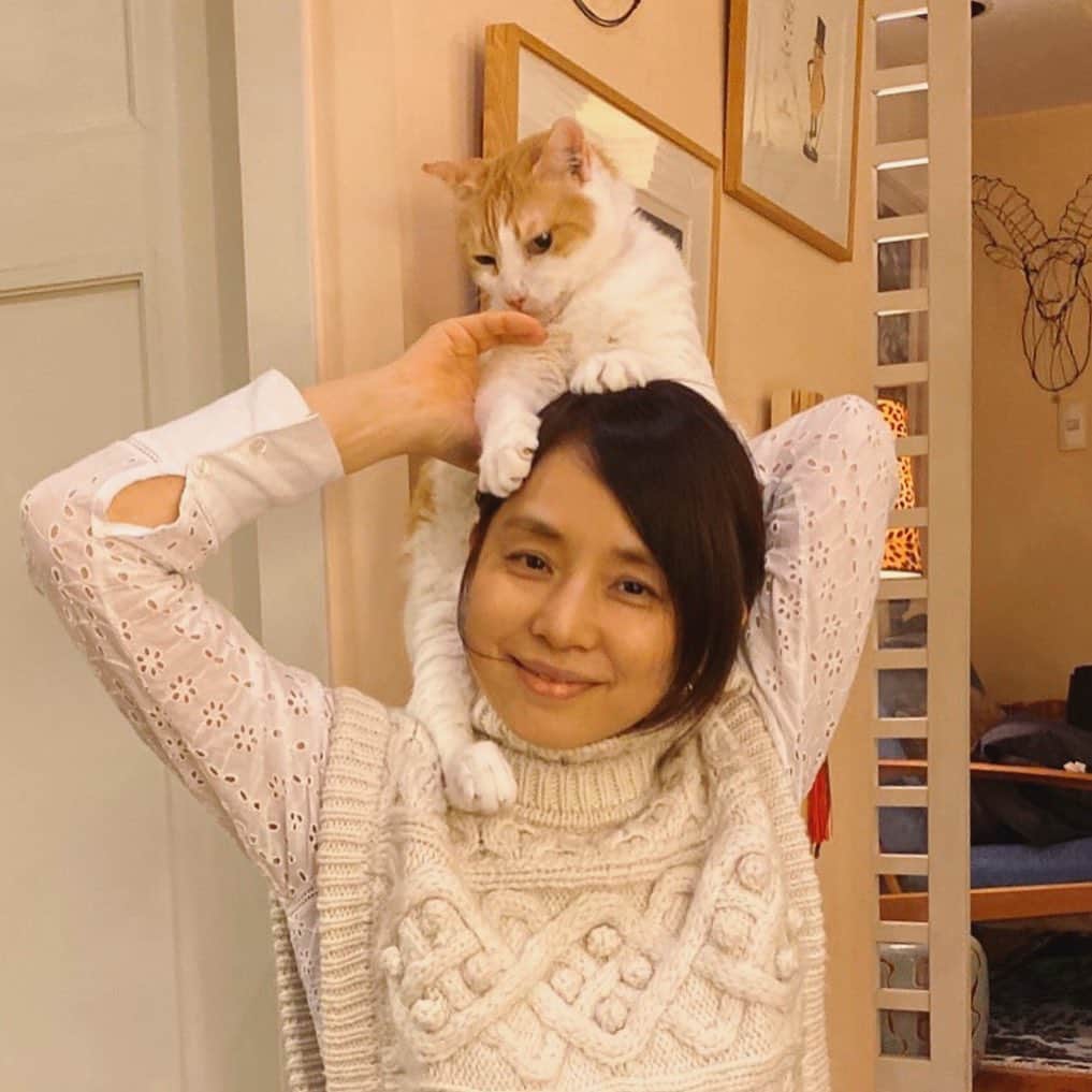 石田ゆり子さんのインスタグラム写真 - (石田ゆり子Instagram)「令和2年 初のねこぐるまの 餌食は 礼子さんちの しのぶ、でした。 #ゆりごろうの猫ぐるま」1月5日 17時48分 - yuriyuri1003