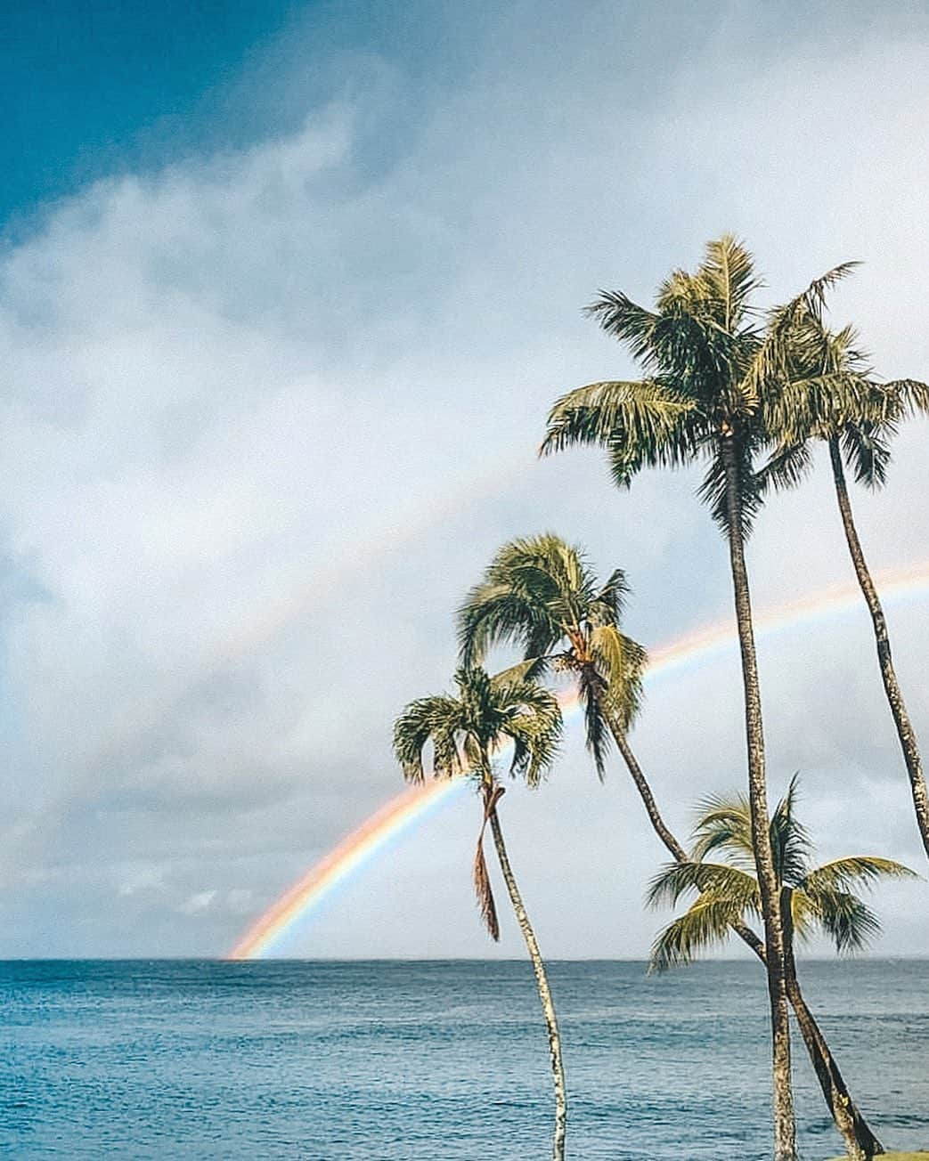 福井仁美さんのインスタグラム写真 - (福井仁美Instagram)「Rainbow moment 🌈 ────────────────────── 今年も、新年はHawaiiから。 毎日雨がパラついて長袖じゃなきゃいられないくらい寒いけど、そのかわり何度も何度も虹がでてる！ ・ ダブルレインボーがもうレアじゃないレベル💚🧡💛💙💜🤎 ・ 海もプールもあんまりいけなさそうだから、読みたい本を一気読みしたい。 ・ #hawaii #ハワイ #ダブルレインボー」1月5日 19時25分 - hitton28