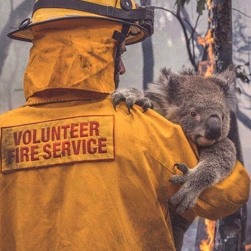 モーガン・ミッチェルさんのインスタグラム写真 - (モーガン・ミッチェルInstagram)「⚠️My beautiful country is still on fire and we need your help. I have tagged people that I am following closely who all have links in their bio to raise funds for those who have suffered most. I ask you to please please PLEASE donate if you are able to. Much love 🙏🏾💘🦘🌏 #Australia」1月6日 5時35分 - morganmitch