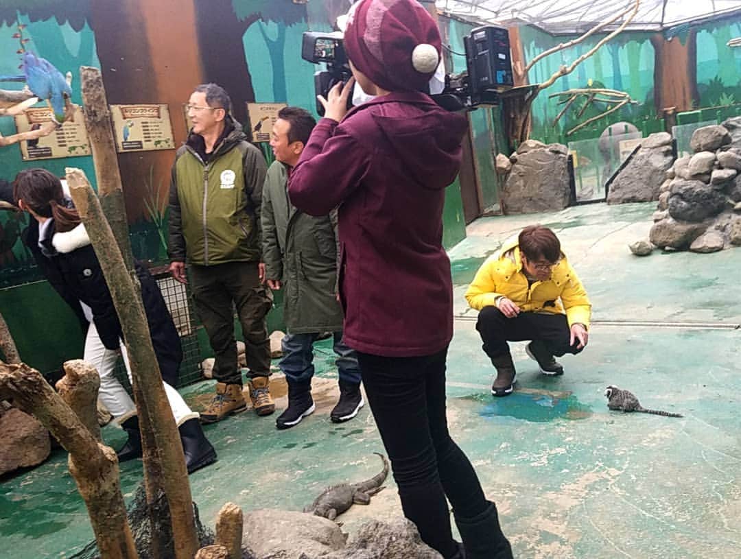 小高亮さんのインスタグラム写真 - (小高亮Instagram)「本日の「モヤさま」はお休みでした。  ではここで、北海道スペシャルのロケで意外と小さい動物が好きなことが分かった大竹さんをご覧ください。  #モヤさま #大竹一樹」1月5日 21時13分 - odaka_p