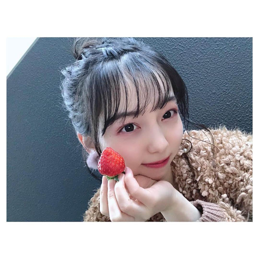 西田ひらりさんのインスタグラム写真 - (西田ひらりInstagram)「今日は #いちごの日  いちご狩り行きたい〜 ・ ・ ・ #西田ひらり #いちご #ヘアアレンジ #メイク #高校生 #strawberry #hairstyle #makeup #jk #instagood #photooftheday」1月5日 21時20分 - hirari_nishida