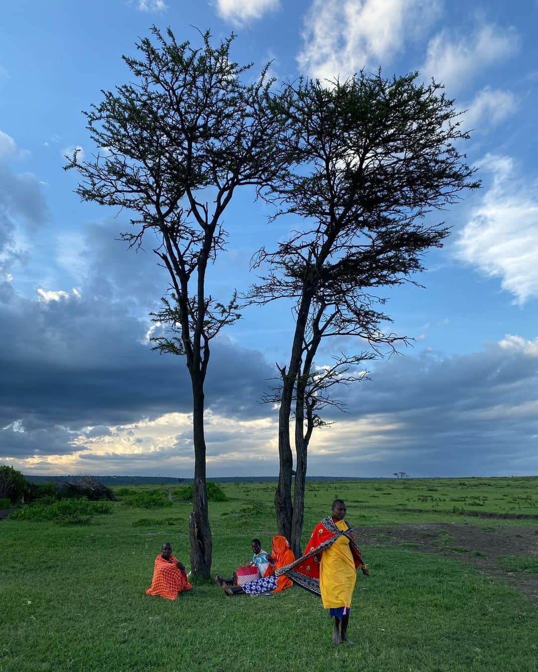 Jeanneのインスタグラム：「Thank you to our Masai guide and grateful for their amazing work to protect this pure wildlife 💛🦒🐘🐆🌱🦏🦓🌎🌷🌞」