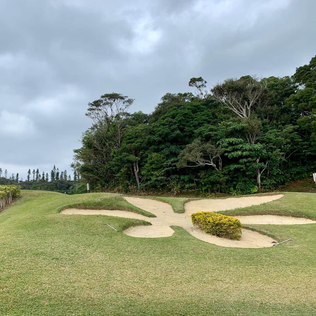 高沢奈苗さんのインスタグラム写真 - (高沢奈苗Instagram)「. 大晦日の打ち納めゴルフ⛳️ . 沖縄はこの日も雨☔️💔😭 . この格好だと暑いかなぁと思いながらも一応持ってきた冬物ウェアがちょうど良かった🙌 . 全身 @riendasuelta_golf 💗 . さすがに2日連続雨ゴルフは悲しいので😭ゴルフ場にお願いしてスタート時間を12時に変更してもらい、その間に近くの打ちっ放しでウォーミングアップ🏌️‍♀️ . かわいいワンちゃんが打席に遊びに来てくれて癒しの時間〜🐶💕 . そして午後からは予想通り晴れて無事にラウンドできました☀︎🏌️‍♀️ . 雨が降ってないだけマシではあるけど風速10mと暴風ゴルフ🤣🤣🤣 . でも本当、雨が降ってないだけ マシでした！！笑 . . . #オリオン嵐山ゴルフクラブ 🌺 #ゴルフ #ゴルフ女子 #リエンダスエルタ #ゴルフコーデ  #ビビゴルフ　 #riendasuelta #vividgolf #golf」1月5日 21時55分 - nanaetakasawa