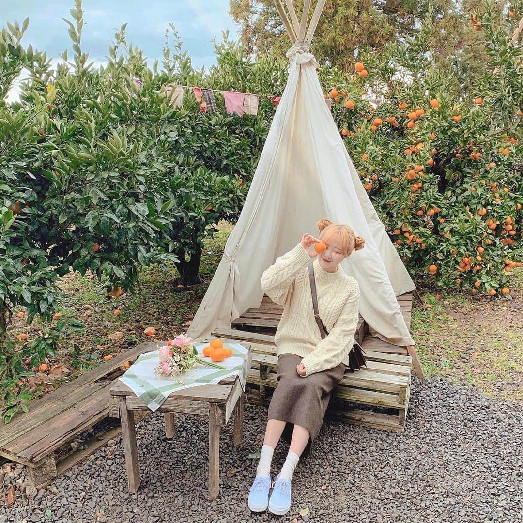 ユンジュのインスタグラム：「곳곳에 귤이 예쁘게 피어난 이곳은 아날로그 감귤밭 !🍊💛💛 #데일리룩 #도화xJeju」