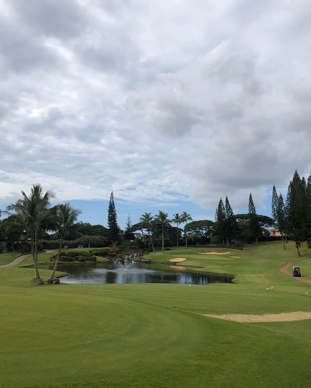 橋本真依さんのインスタグラム写真 - (橋本真依Instagram)「・﻿ ﻿ ハワイ1日目🏌️‍♀️ゴルフ﻿ ワイケレカントリークラブ⛳️﻿ ﻿ 朝1番ショットは鳥のさえずりと朝陽に恵まれて﻿ 気持ちよかった〜🥰﻿ ﻿ ただずっとセカンドショットがうまくいかず﻿ スコアはボロボロでした。💦﻿ ﻿ ﻿ ﻿ ﻿ ﻿ #女子力ねーさん#ハワイ#ゴルフ#ハワイゴルフ﻿ #happy#smile#love#peace#lucky#tbt#l4l#followme#followback#instagood#hawaii#swimwear#hawaii#hawaiilife#hawaiistagram#hawaiian#aloha#mahalo#waikiki#beach#sea#beautiful#bikini#golf#golfswing#hawaiigolf」1月5日 21時57分 - hashimotomai430