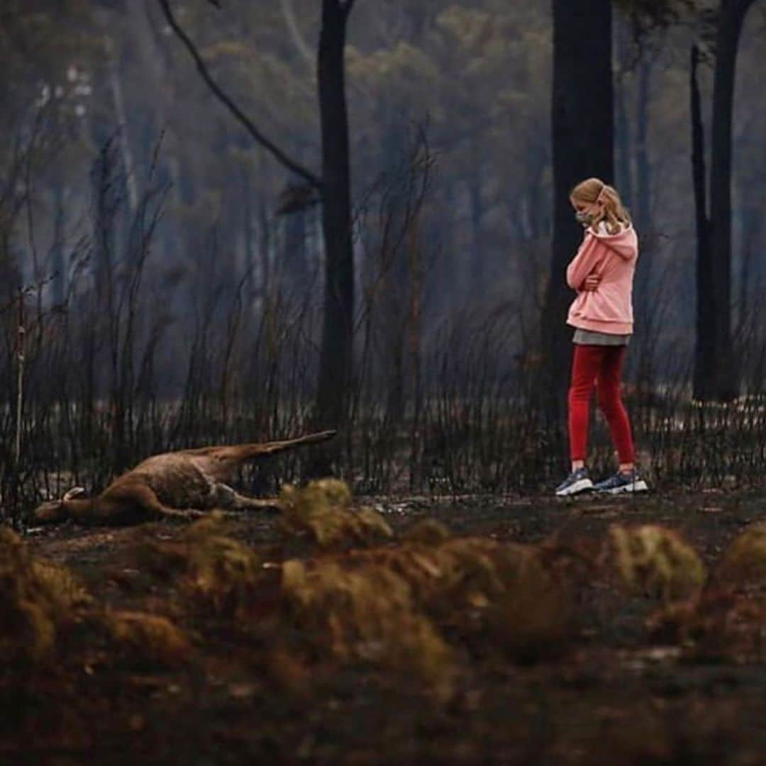 Dj Sodaさんのインスタグラム写真 - (Dj SodaInstagram)「최악의 호주 산불... 너무 가슴 아파요 피드 넘기시다가 충격 받을 수 있는 장면이 있으니 마음 약하신 분들은 주의 부탁드립니다 #Prayforaustralia 🙏🏻🐨」1月5日 22時29分 - deejaysoda