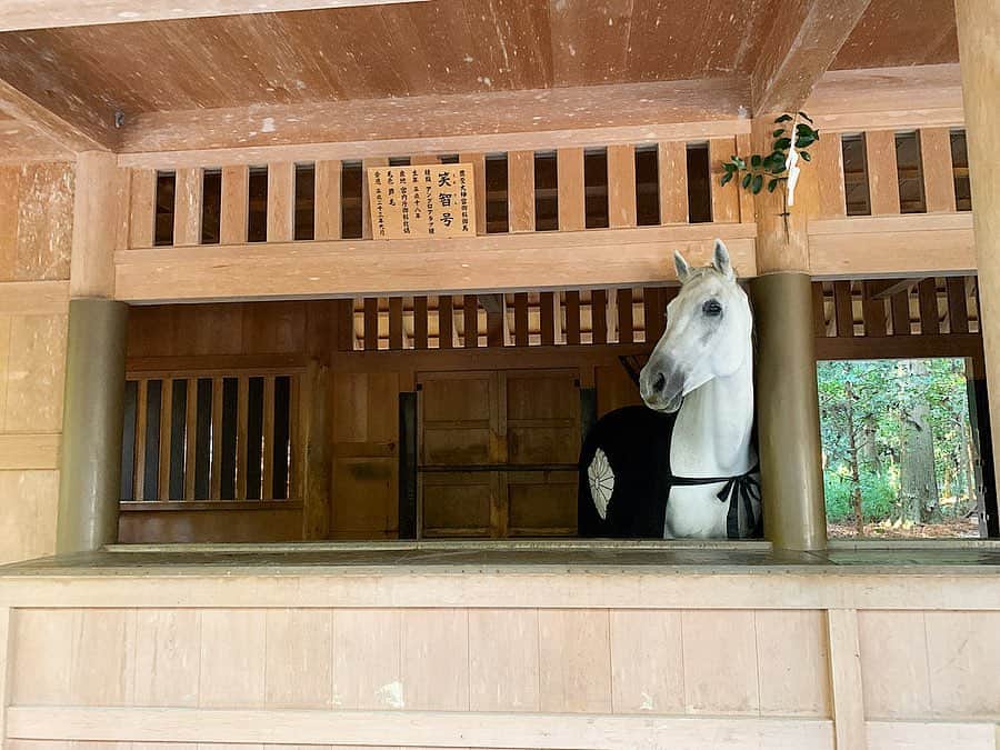 のインスタグラム：「❁︎ ㅤㅤㅤㅤㅤㅤㅤㅤㅤㅤㅤㅤㅤㅤㅤㅤㅤㅤㅤㅤㅤㅤㅤㅤㅤㅤ ㅤㅤㅤㅤㅤㅤㅤㅤㅤㅤㅤㅤㅤㅤㅤㅤㅤㅤㅤㅤㅤㅤㅤㅤㅤㅤ  伊勢神宮 #外宮 ㅤㅤㅤㅤㅤㅤㅤㅤㅤㅤㅤㅤㅤ 内宮で会えなかった神馬を拝められて、嬉しさ倍増🙏✨ ㅤㅤㅤㅤㅤㅤㅤㅤㅤㅤㅤㅤ ㅤㅤㅤㅤㅤㅤㅤㅤㅤㅤㅤ  ㅤㅤㅤㅤㅤㅤㅤㅤㅤㅤㅤㅤㅤ  ㅤㅤㅤㅤㅤㅤㅤㅤㅤ ㅤㅤㅤㅤㅤㅤㅤㅤㅤㅤㅤㅤㅤ ㅤㅤㅤㅤㅤㅤㅤㅤㅤㅤㅤㅤㅤ ㅤㅤㅤㅤㅤㅤㅤㅤㅤㅤㅤㅤㅤ ----*----*----*----*----*----*----*----* #日本#三重#伊勢#伊勢神宮#外宮#神宮#参拝#神馬神#お伊勢さん#お伊勢参り#伊勢フォト#尾崎ななみ#伊勢志摩アンバサダー」