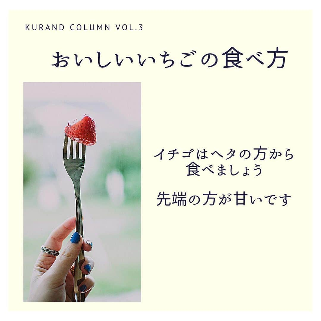 KURAND@日本酒飲み放題さんのインスタグラム写真 - (KURAND@日本酒飲み放題Instagram)「KURAND COLUMN VOL.3﻿ ﻿ 今日は1月5日なので「いちごの日」ですね！﻿ ﻿ 今日は珍しく、いちごのおいしい選び方や食べ方を紹介していきます！﻿ .﻿ まだいちごは旬の時期ではないですが、覚えていてくださいね〜﻿ KURANDではいちごの果実感を感じられるいちご酒もあるので、ぜひご賞味下さい！ . ロックでも、アイスにかけても、ヨーグルトと合わせてもお楽しみいただけます！﻿ ------------------------﻿ .﻿ KURANDでは「お酒のある暮らし」をテーマに写真をシェアしてます。﻿ .﻿ お酒の詳細やお買い物は @kurand_info﻿  プロフィールのリンクから公式HPからどうぞ。﻿ ﻿ #kurand#kurandsakemarket #shugermarket #sakebar #sakestagram#sake #sakelove#sake lovers#sakekanpai#instagood#instalike#instadaily#instagramjapan#いちご#いちご🍓#いちご好き#いちごの日#いちごの日🍓#いちごスイーツ#いちごみるく#いちご大好き#いちごすきにはたまらない」1月5日 22時53分 - kurand_info