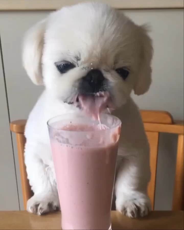 こなつのインスタグラム：「yummy💗💗💗 by @justinbieber」