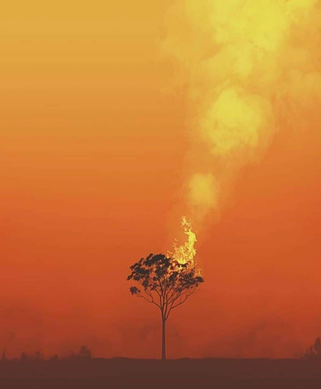 ジョン・コルタジャレナさんのインスタグラム写真 - (ジョン・コルタジャレナInstagram)「HELP AUSTRALIA! As of the New Year, the fires in Australia have now scorched more than 15 million acres of land, killed almost half a billion animals, burned down over 1400 homes and displaced hundreds of thousands of people. These fires are 500% larger than the Amazon fires and are getting bigger with no end in sight. Air quality is at hazardous levels in Australia and will be affecting everyone on a worldwide level. Civilians and holiday makers are stranded on beaches escaping the intense heat with no road out.  If you’re interested in helping, there's link in my stories with just a few of the many organizations you can donate to. If you can’t donate, share it!」1月5日 23時22分 - jonkortajarena