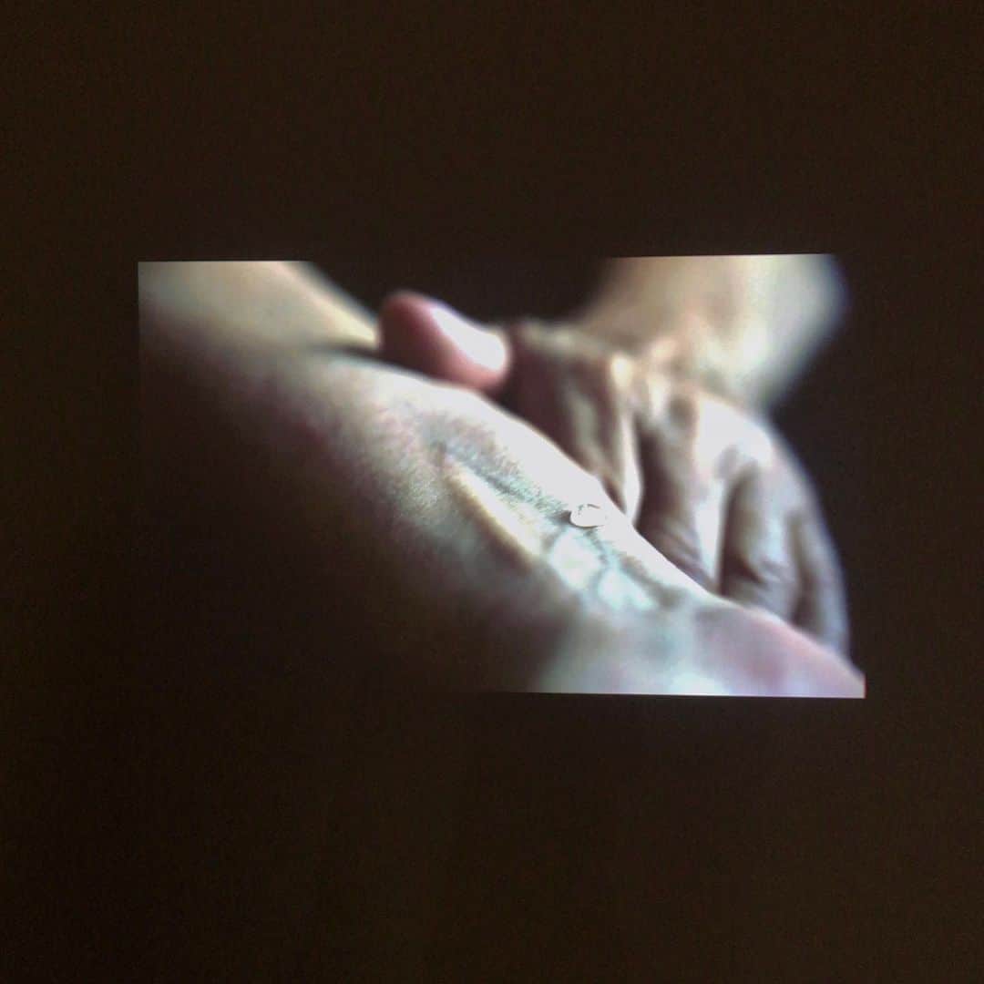 半田麗さんのインスタグラム写真 - (半田麗Instagram)「今年初めての展示は﻿メゾンエルメスにて﻿。 「みえないかかわり 」﻿ ﻿ 可視と不可視の間で揺れ動く不安定な関わり。﻿ #イズマイルバリー展  #みえないかかわり #メゾンエルメス #reih_art」1月5日 23時32分 - rei__handa