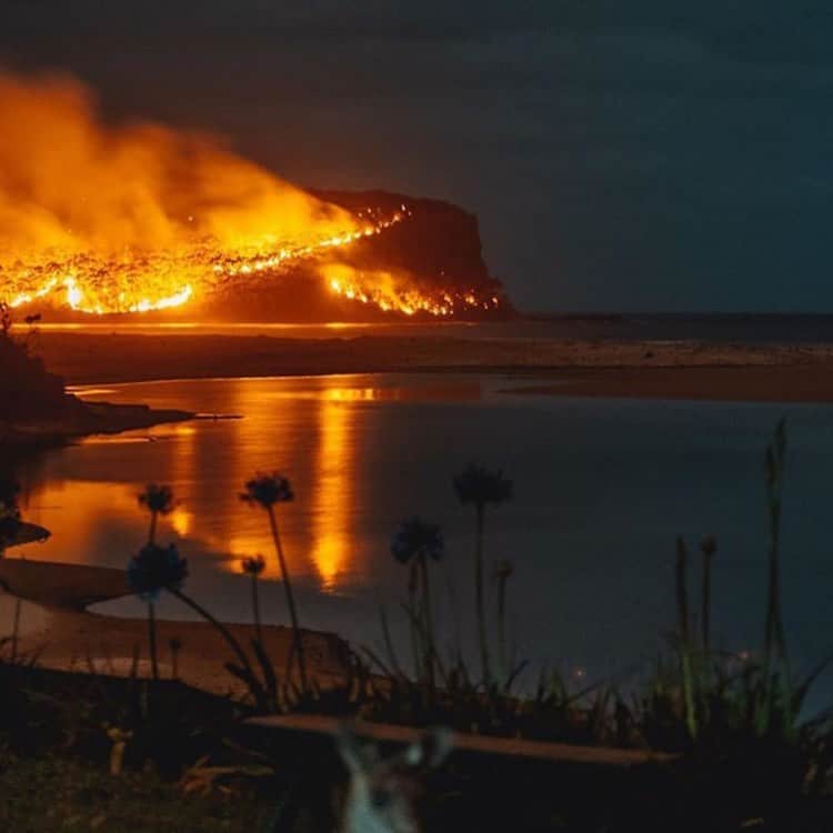 のインスタグラム：「Please donate whatever you can to @nswrfs. And please register and vote in your next election cycle for candidates who believe in climate change and have plans to do something about it. This isn’t normal nor is it coincidence.」