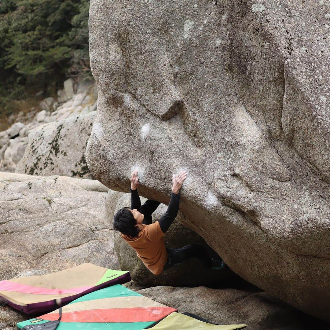 濱田健介のインスタグラム：「A happy new year. I climbed two new lines at Kasagi. Both were good. I felt V7 and V9. Maybe FA?? 明けましておめでとうございます！ 新年早々、風邪でダウンしていました。 今日はやっと復活したので笠置。 気になってた２つのラインが登れた。  一つ目は巴岩直上を右下から繋げるライン。めちゃめちゃパワー系と思いきや、フックでごまかすテクい系やった。それはそれでなかなか面白かった。 スタートは写真1枚目、右手のもう一個右のチョークついてるところと奥にあるクラックのスローパー気味アンダーを挟み込んでスタートしました。 体感は初段くらい。  もう一つは、え、そんなとこに？って感じやけど、、、黄色い博多と鮎の間。 実は昔から通称 緑のたぬき というプロジェクトがあったらしく、去年から笠置来たら帰り際にちょくちょく触ってたけど、指皮裂けたりで登れずにいたやつ。 今日は指皮も裂けずにちゃんと登れた。この岩らしく保持系で良かった。 スタートは写真3枚目で持ってるのが一手目と2手目な感じで、さらに下の右手はフラットなカチ、左手は薄いアンダーでやりました。 こっちは体感2段くらい。  どちらもなかなか面白かったので是非。なんも情報ないし、おそらく初登？？ですかね？  @rockmasterhq  @unparallelup  @organicclimbing  @nogradjustfeeling  @camp1889」